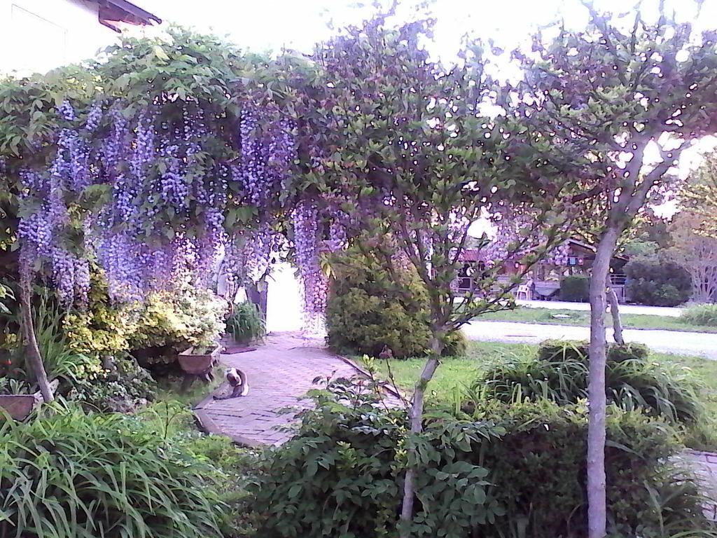 B&B Cm Ranch Cuneo Luaran gambar