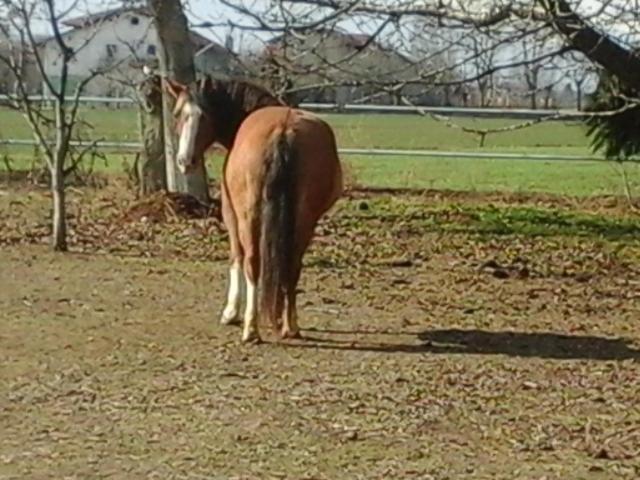 B&B Cm Ranch Cuneo Luaran gambar